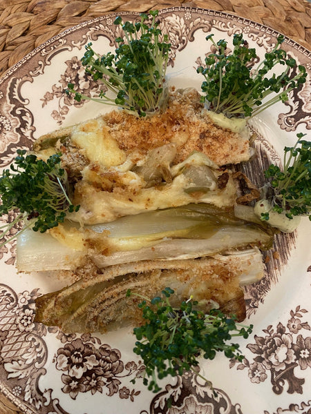 CiboCi con insalata belga gratinata con formaggio in forno